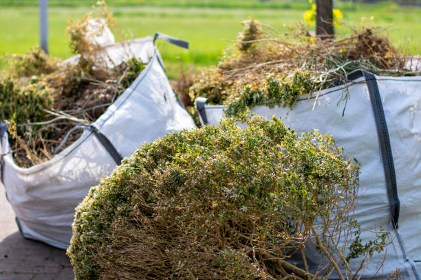 Shed Removal in North Bellmore, NY